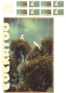 Afbeelding van Cockatoo - L - 1.0 - DTF A3