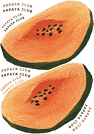 Afbeelding van Papaya for bag and garments - DTF A4 - for DIY